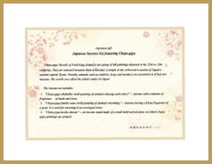 オリジナルの英語説明書